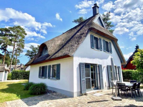 Sterntaucher Glowe